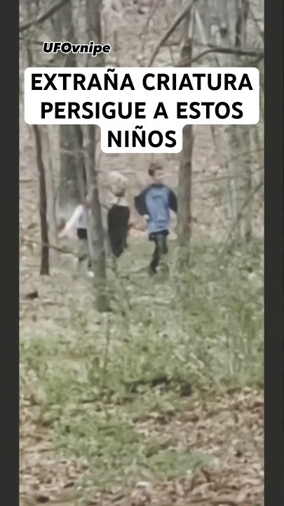 Video impresionante donde vemos a una criatura extraña perseguir. Dos niños en el bosque