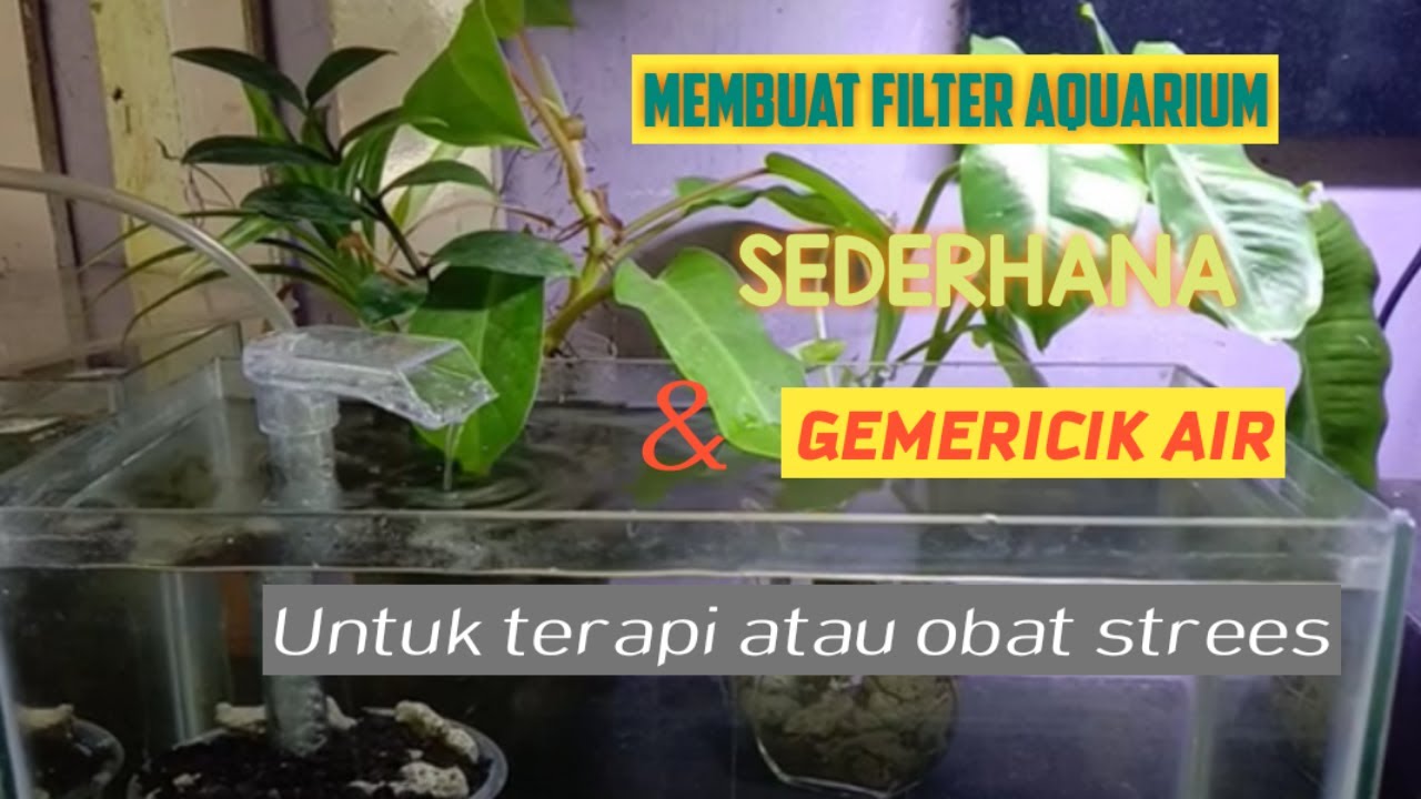 Cara membuat filter aquarium sederhana_membuat air gemericik mudah