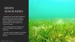 Biology assessment task 1 - module 3
