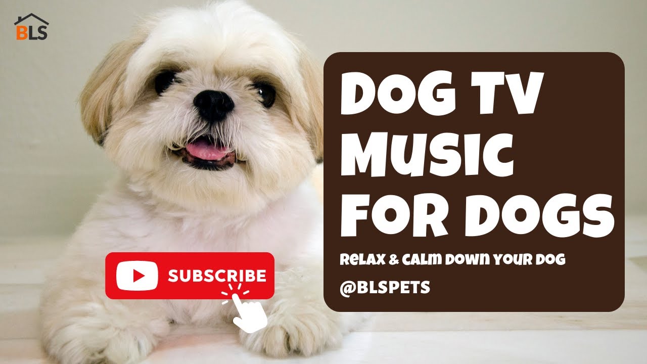 DOG TV TV FOR DOGS Relaxing Music For Dogs Music For Dogs Watch