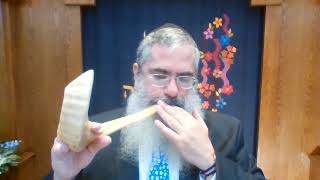 613 Mitzvot Monday August 16
