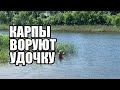 РЫБАЛКА на Весёлом!27.05.2021.Старый рыбак поделился секретом прикормки на что ловить карпа и карася