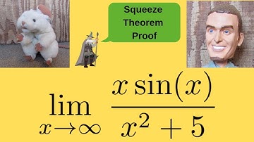Squeeze Theorem Proof xsin(x)/(x^2 + 5) Justin Timberlake Cameo with Rat Puppet!