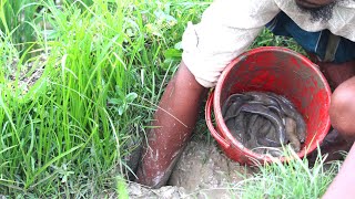 Unique Fishing video। 2 Man Catching Giant Catfish In Dry Season