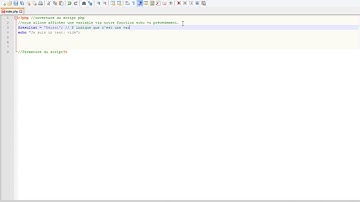 Tuto PHP : Afficher une variable en utilisant Echo