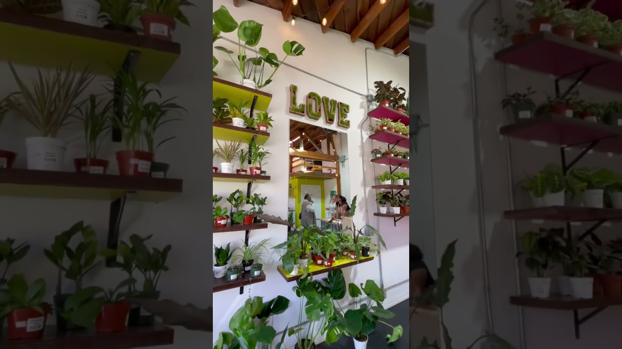 HumboldtHouseplants.com in beautiful Arcata California.