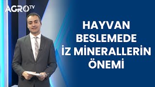 Hayvan Beslemede İz Mineral Desteğinin Önemi Trouw Nutrition