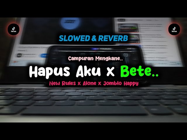 DJ Hapus Aku x Bete x New Rules x Alone (Slow + Reverb) | Sound Campuran Mengkane.. class=