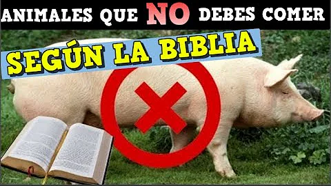 ¿Cuáles son los animales prohibidos de comer en la Biblia?