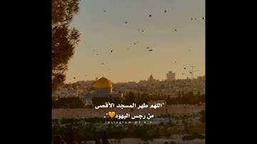 تلاوة مريحه للسمع مقطع قصير الشيخ مشاري العفاسي