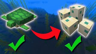 EASY Way To Get Turtle Eggs In Minecraft! - Easy Turtle Guide
