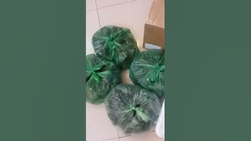 Bánh bột lọc huế ngon nhứt nách sài gòn