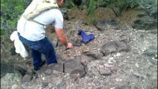 Releasing Rattlesnakes (3 of 3 7/7/12)