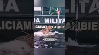 माँ की मौत के बाद मिला नया परिवार #shorts