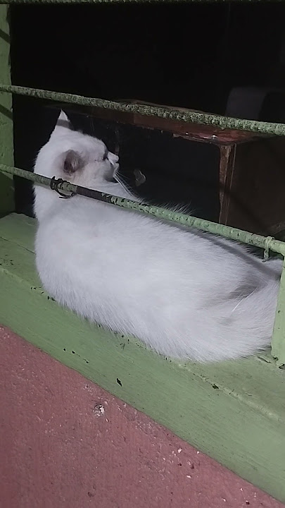 antok na