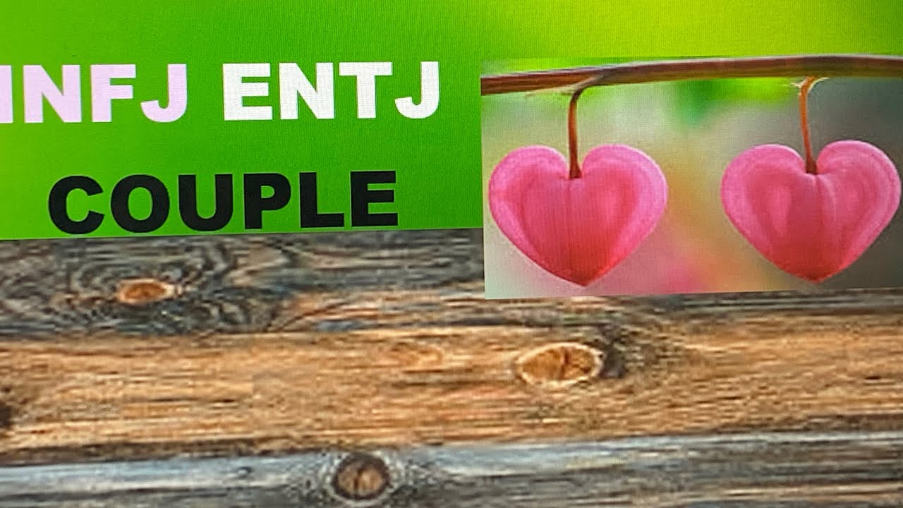IS INFJ ENTJ That COUPLE? Or Not….