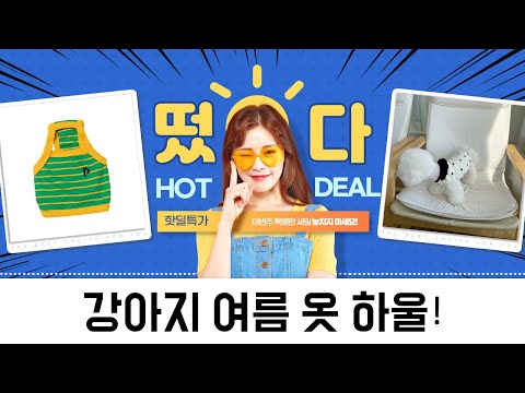 강아지 여름 옷 하울  시원한 나시  프릴 티셔츠 5종 리뷰!
