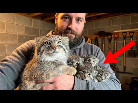 August Burns Red - Ancestry (feat. Jesse Leach)