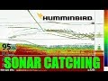 Tips n tricks 229 vertical sonar fishing with humminbird helix