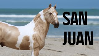 Unboxing San Juan and More! 