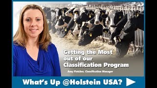 What's Up at Holstein USA - The Classification Program