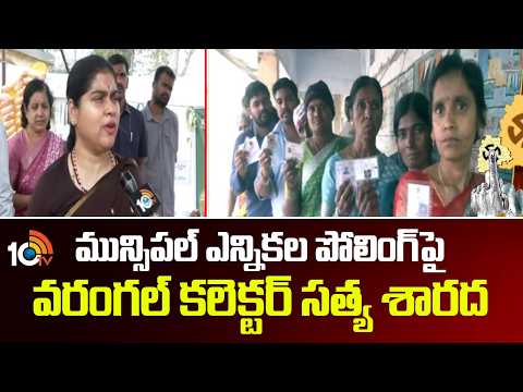 Warangal Collector Satya Sharada | మున్సిపల్ ఎన్నికల పోలింగ్‎పై వరంగల్ కలెక్టర్ సత్య శారద | 10TV - 10TVNEWSTELUGU