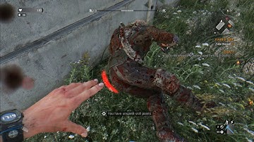 Dying Light The Following - Kaan And Able, Getting The Buggy Part 2