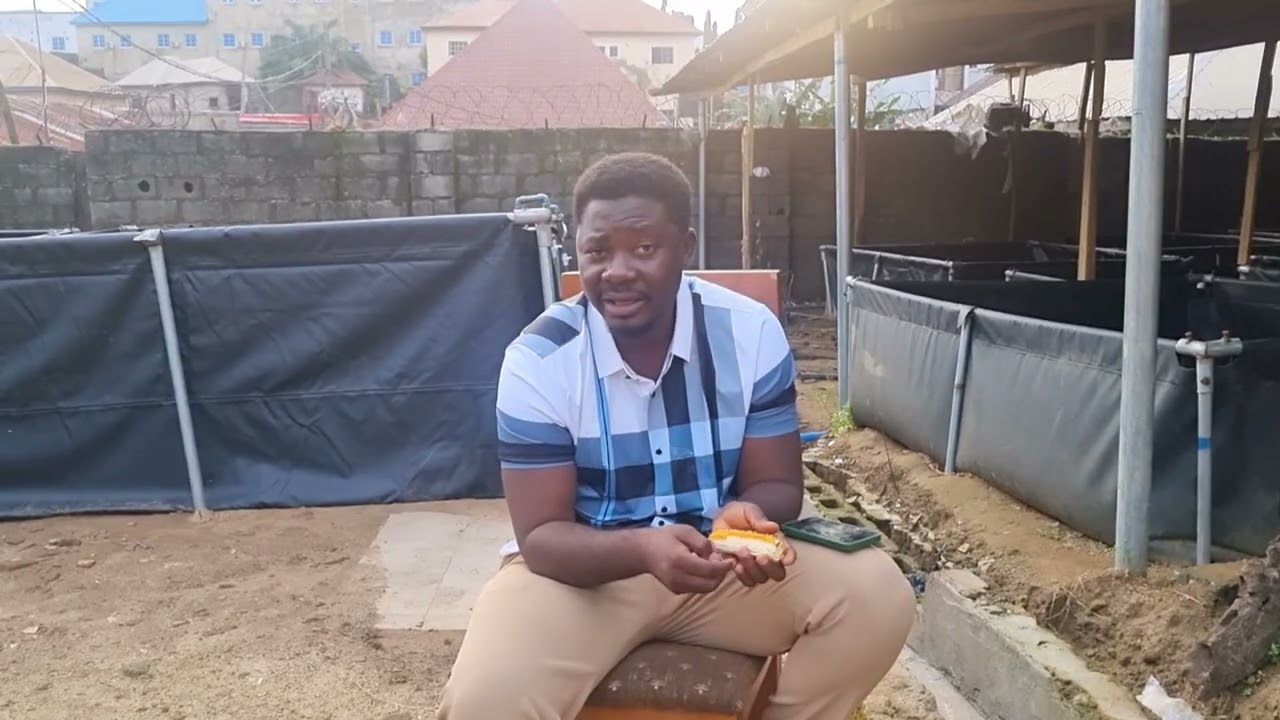 ПРЕКРАТИТЕ ПЕРЕНАСЕЛЕНИЕ! Почему ваши сомы растут медленно (полное руководство для начинающих)