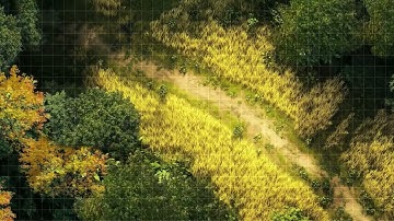 D&D | Harvestrun Part 1 Grid | Animated Battle Maps