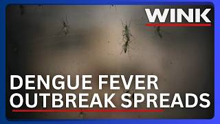 Dengue fever outbreak spreads to 252 cases across Florida, including SWFL