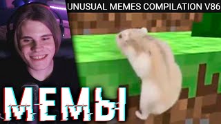 😂ХАМСТЕР СМОТРИТ: UNUSUAL MEMES COMPILATION V86 | ANYHAMSTER РЕАКЦИЯ