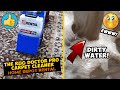 How to use a rug doctor pro carpet cleaner  home depot rental 