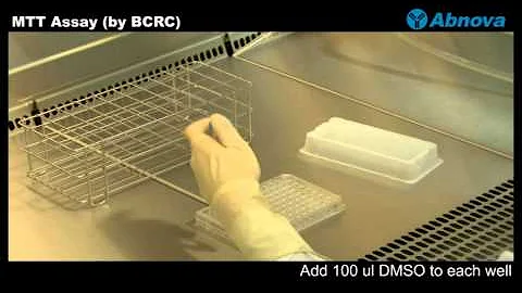 MTT Assay (by BCRC)
