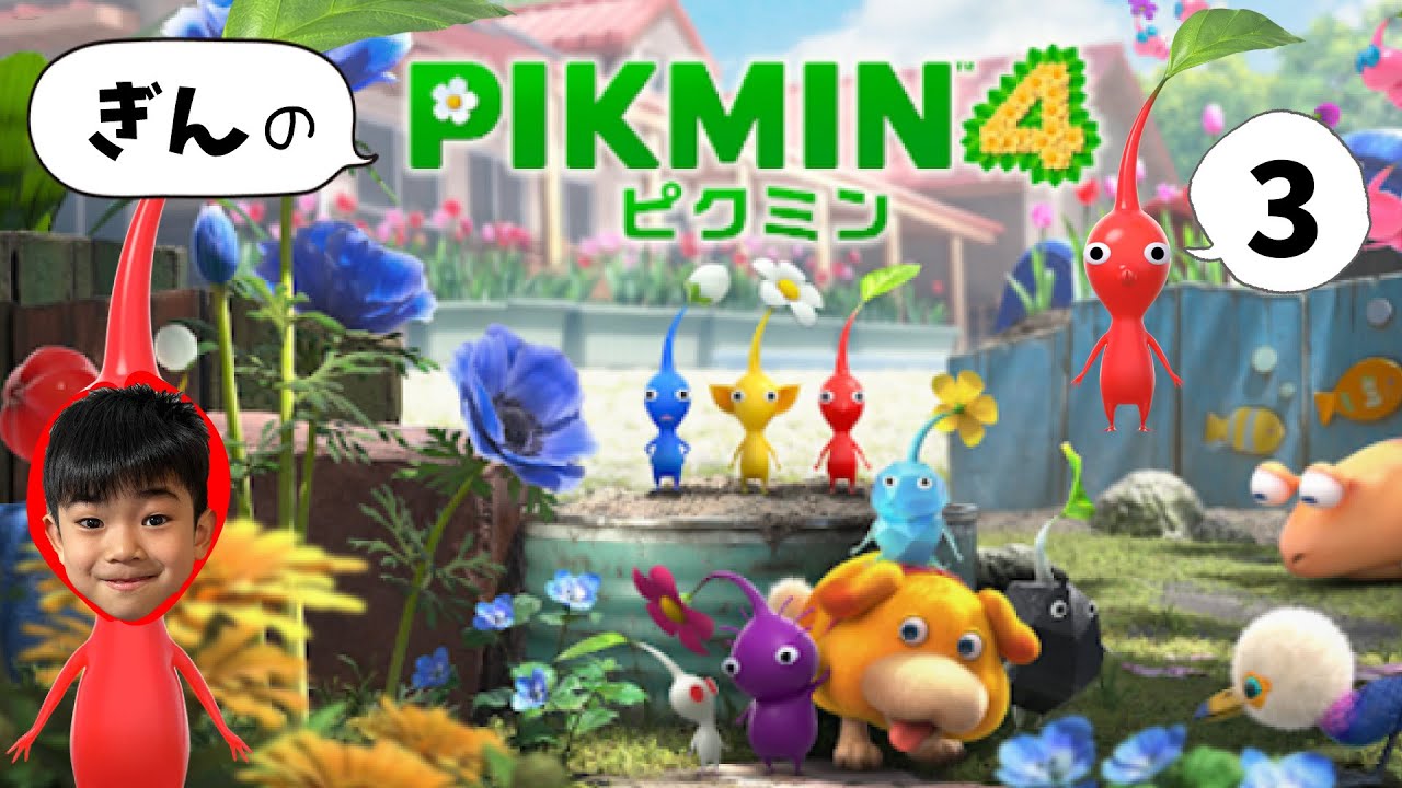 【ぎんLIVE】楽しみにしていたピクミン４！ぎんがプレイするよ♪＃3