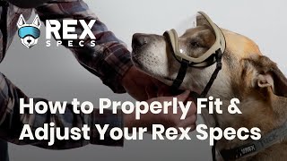 How to Properly Fit & Adjust Your Rex Specs