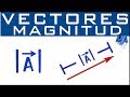 Magnitud, Norma o Módulo de un Vector | longitud o medida