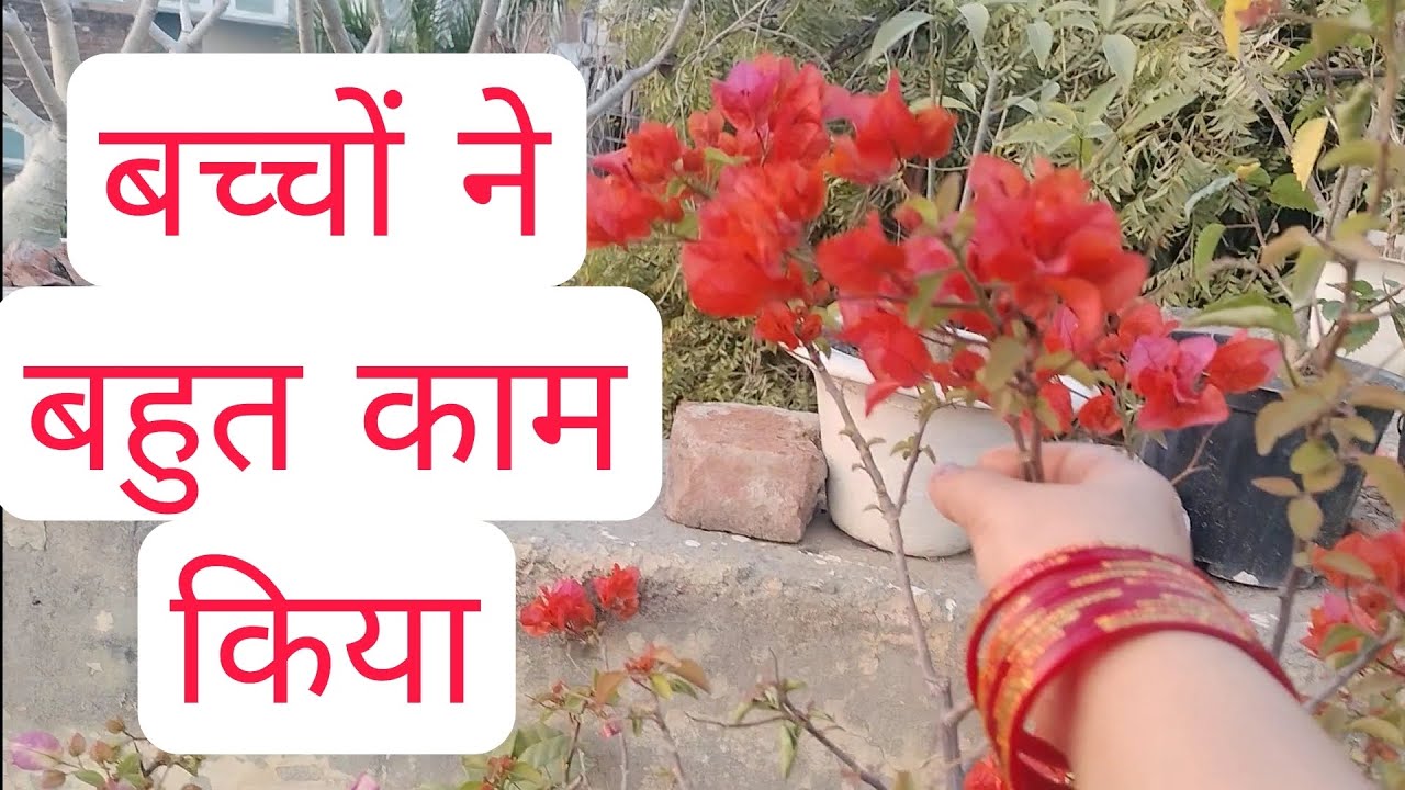 पूरे छत की साफ सफाई हो गई#video#vlog #video #viralvideo #viralvideo 