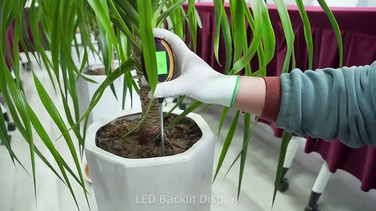 Expert Tip for Garden Health Monitoring