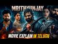 Mrithyun'jay Movie Story Explained | Sree Vishnu | Hussain Sha Kiran | Tollywood Box Office