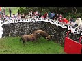 Touros RB - Enjaular Altares - Caging The Bulls To Altares - Terceira Island