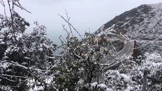 13.02.2021. Снег в п. Добра Вода, Черногория.