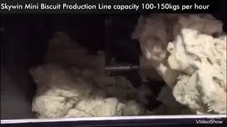 Skywin Mini Type Combined Hard AND Soft Biscuit Production LINE screenshot 4