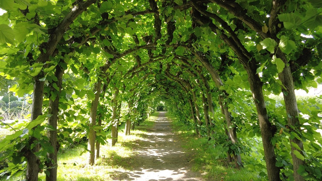 Der Wacholderpark in Hamburg Fuhlsbüttel im Sommer und Winter