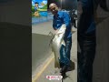 Robalo Gigante 4KG na pescaria de fisga #pescarianoturna #pescaria #pescadorprofissional #tainha