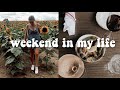 MPRE &amp; WORKING FROM HOME | WEEKEND IN MY LIFE