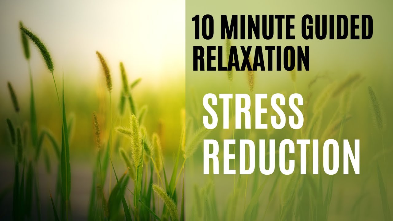 10 Minute Stress Reduction Guided Meditation - YouTube