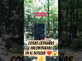 Cosas extrañas encontradas en el bosque ❤️😱👍 #datoscurisos #latinoamerica
