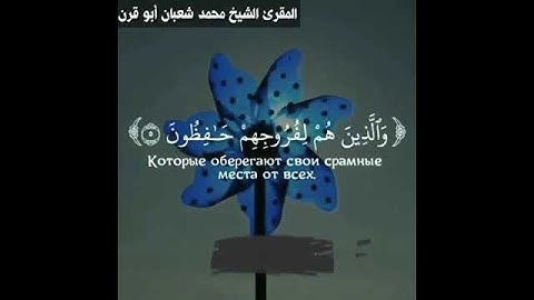 سوره المؤمنون الشيخ محمد شعبان أبو قرن #اكسبلور #محمد_شعبان_أبوقرن #حالات_واتس #المصحف #قران_كريم