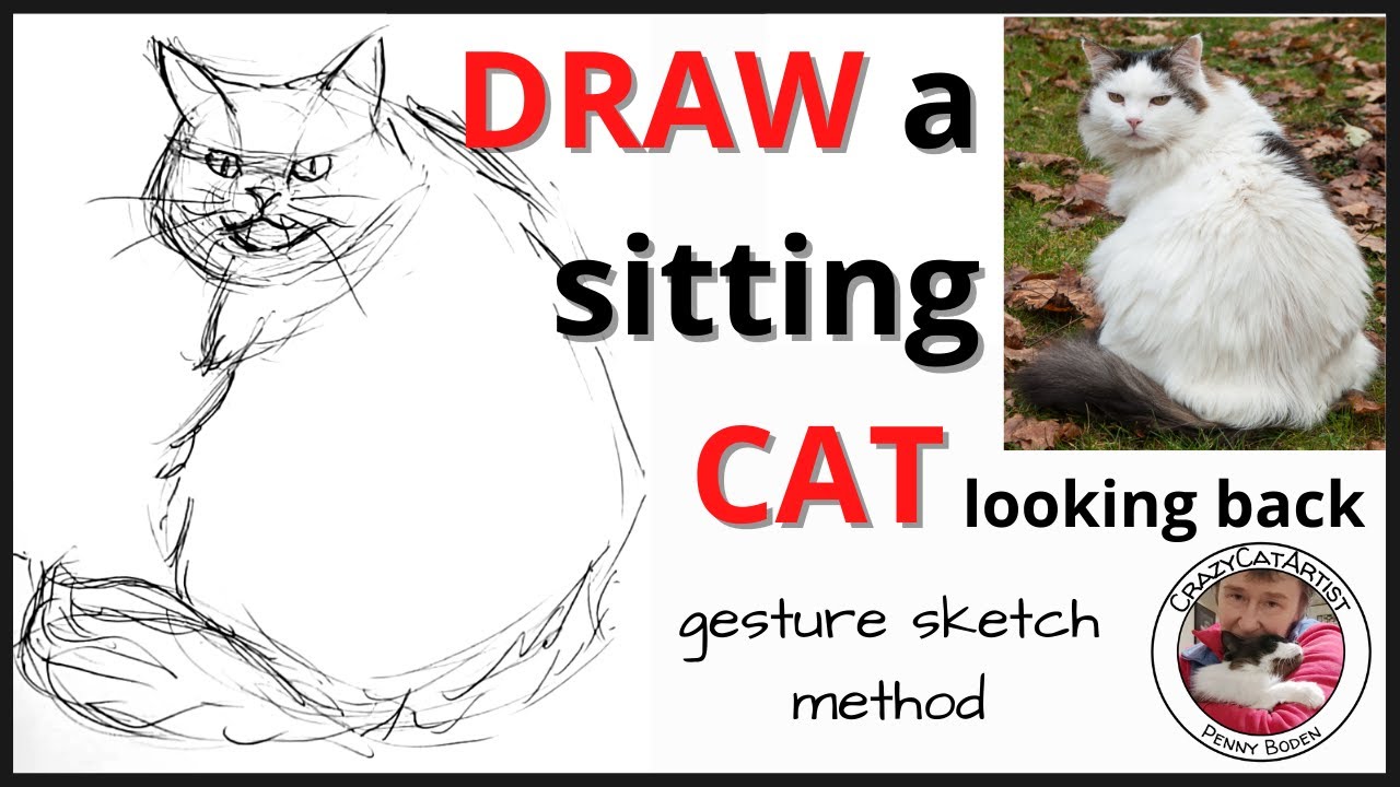 Line drawing illustration of a sitting cat  Stock Illustration 79052697   PIXTA