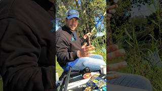 Come si lancia con la bolognese?🎣#tutorial #tutorials #pesca #fishing #fishingvideo #fishingvideos